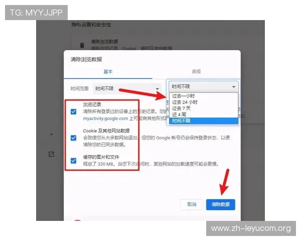 乐鱼电脑网页版如何快速登录，解决玩家常见的登录难题与操作指南